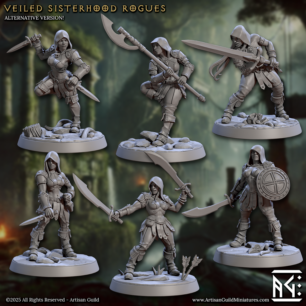 Veiled Sisterhood Rogues