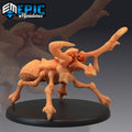 Dread Beetle