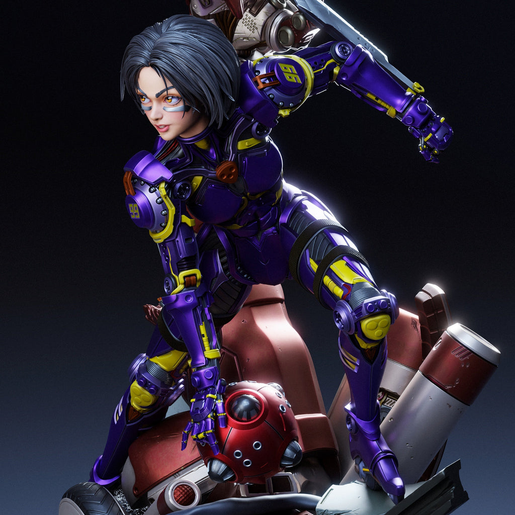 Alita - Battle Angel - 1:6, 1:9 Scale Figures & Bust