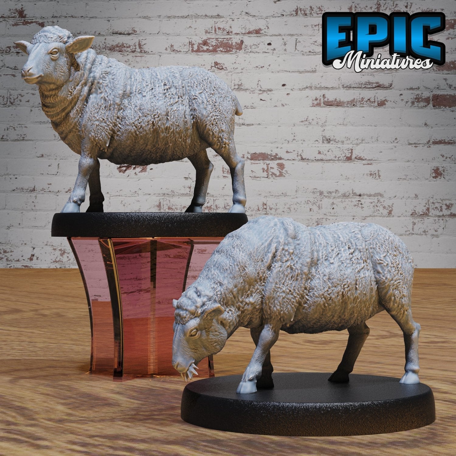 Sheep