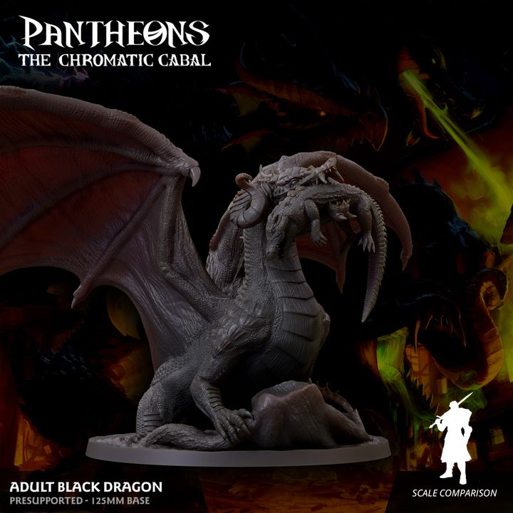 Adult Black Dragon