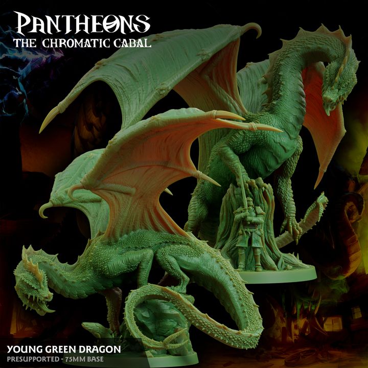 Young Green Dragon