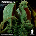 Ancient Green Dragon