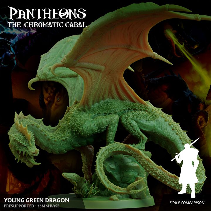 Young Green Dragon