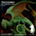 Young Green Dragon