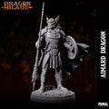 Fighter - Aimard Dragon