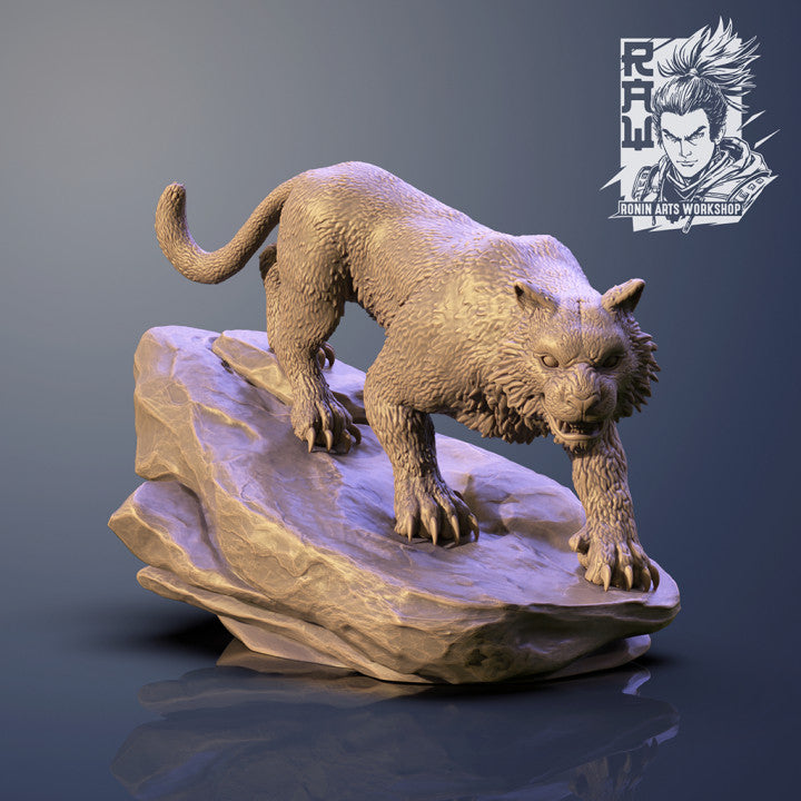 Jasmit Tiger