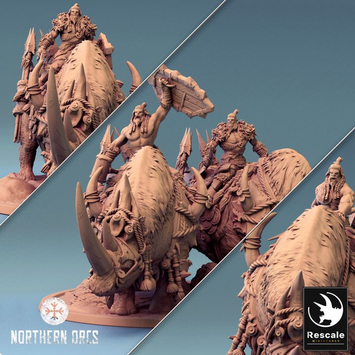 Northern Rhinos