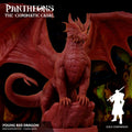 Young Red Dragon