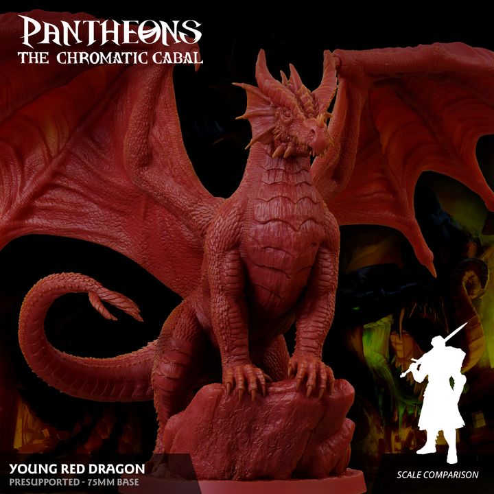 Young Red Dragon