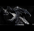 Elder Black Dragon