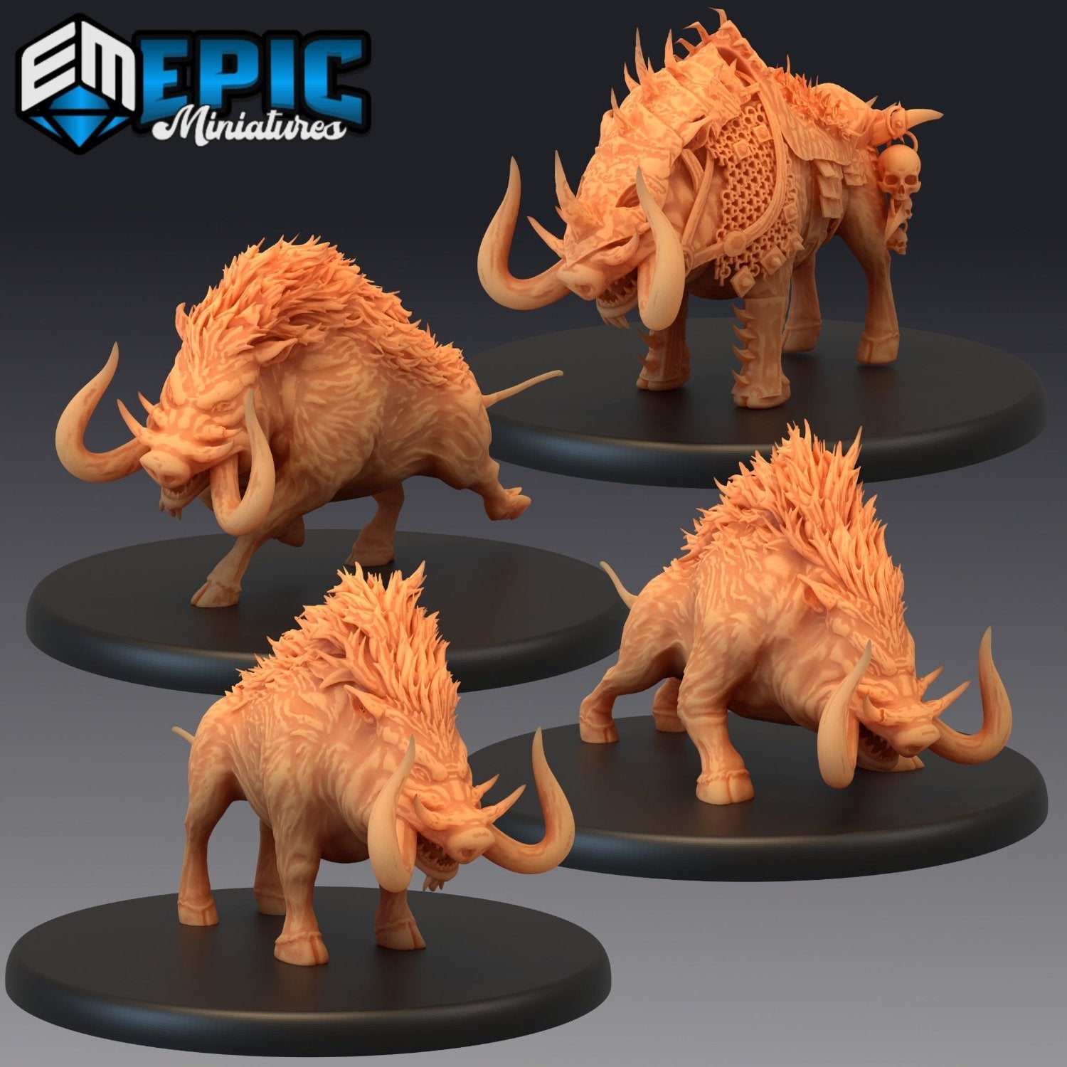 Forest Boar