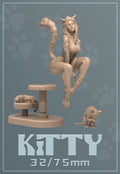 Kitty