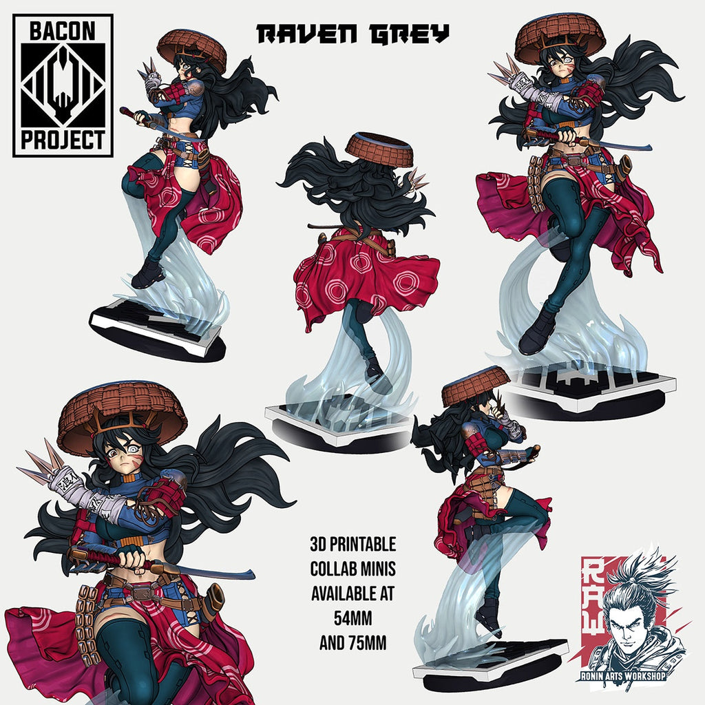 Raven Grey - 54mm, 75mm Scale
