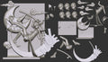 Maka Albarn - Soul Eater - 1:8 Scale