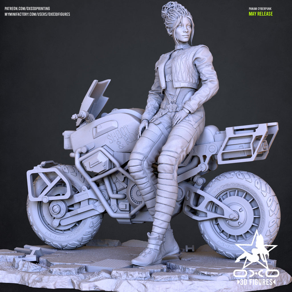 Panam Palmer - Cyberpunk 2077 (SFW/NSFW 18+ ONLY) - 1:10 Scale