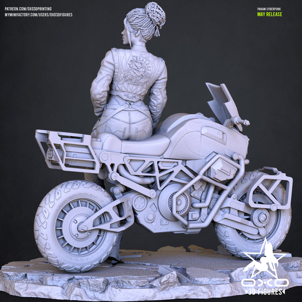 Panam Palmer - Cyberpunk 2077 (SFW/NSFW 18+ ONLY) - 1:10 Scale