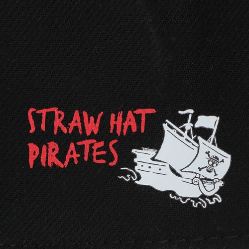 One Piece Logo Embroidered Snapback Hat
