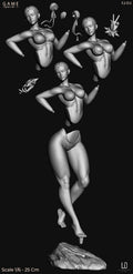 Chun-Li Pose 3 - Street Fighter (SFW/NSFW 18+ Only) - 1:6 Scale Figure
