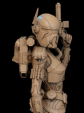 Shae Vizla - SW (SFW/NSFW 18+ Only) - 1:6, 1:9 Scale Figures & Bust