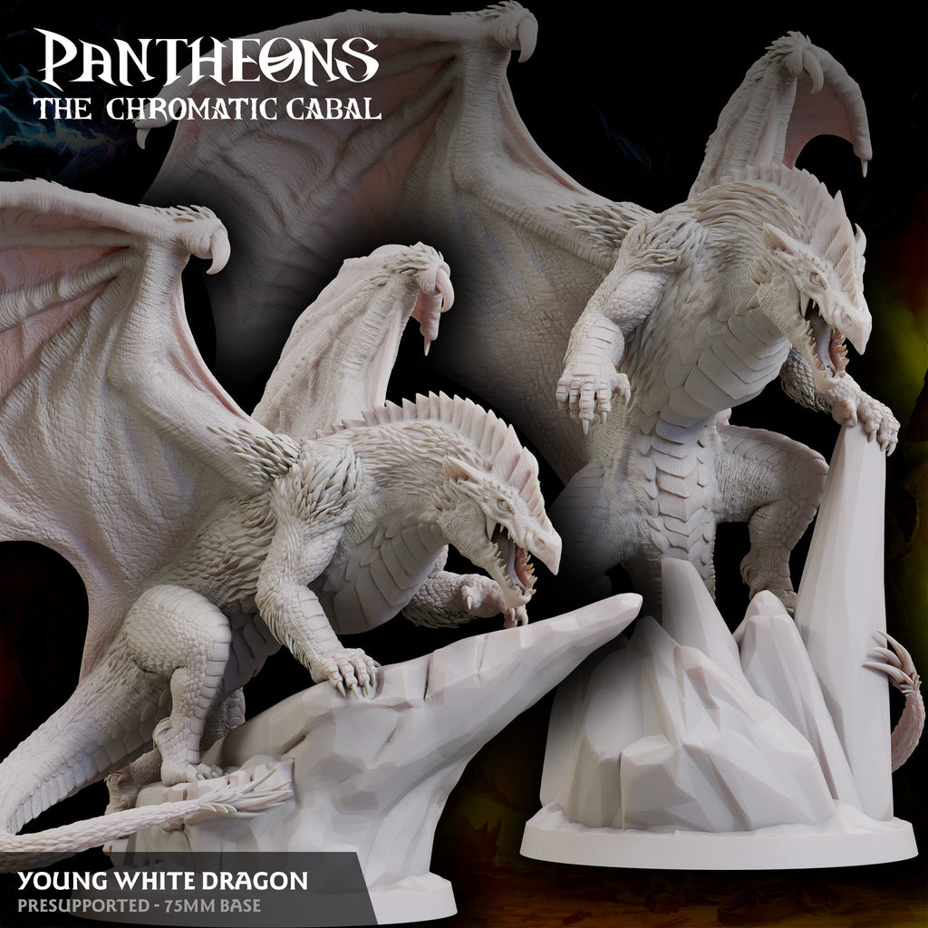Young White Dragon