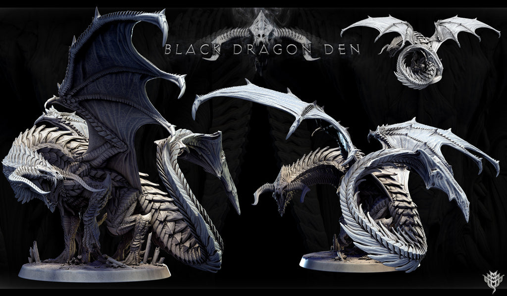 Adult Black Dragon