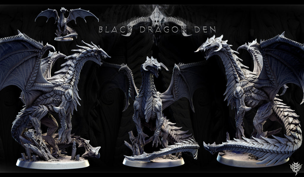 Adolescent Black Dragon