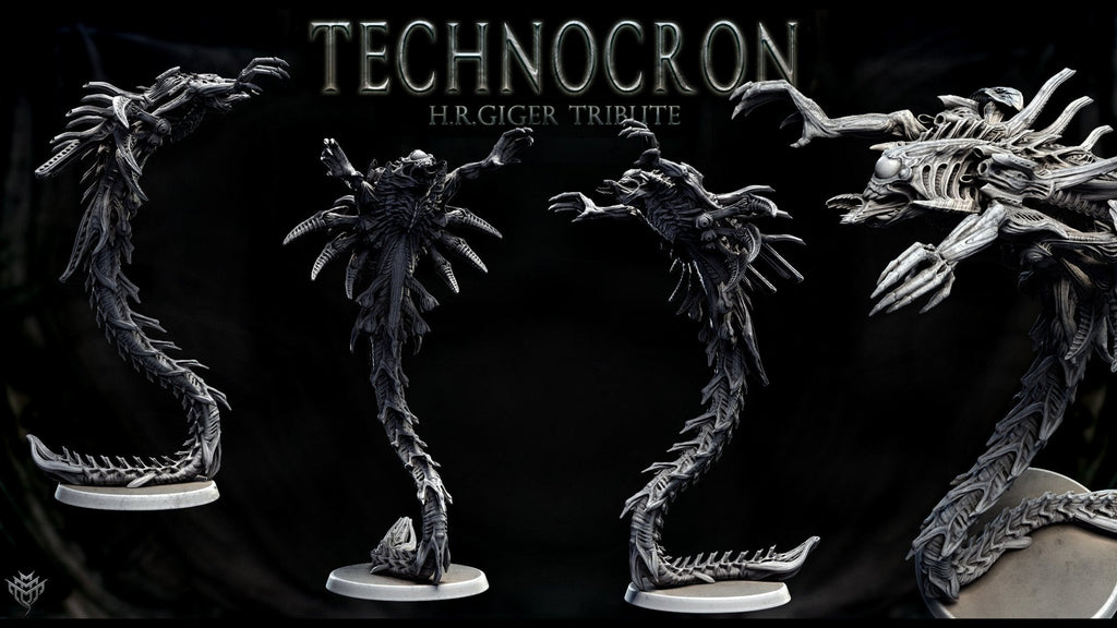Neomorph Gliders