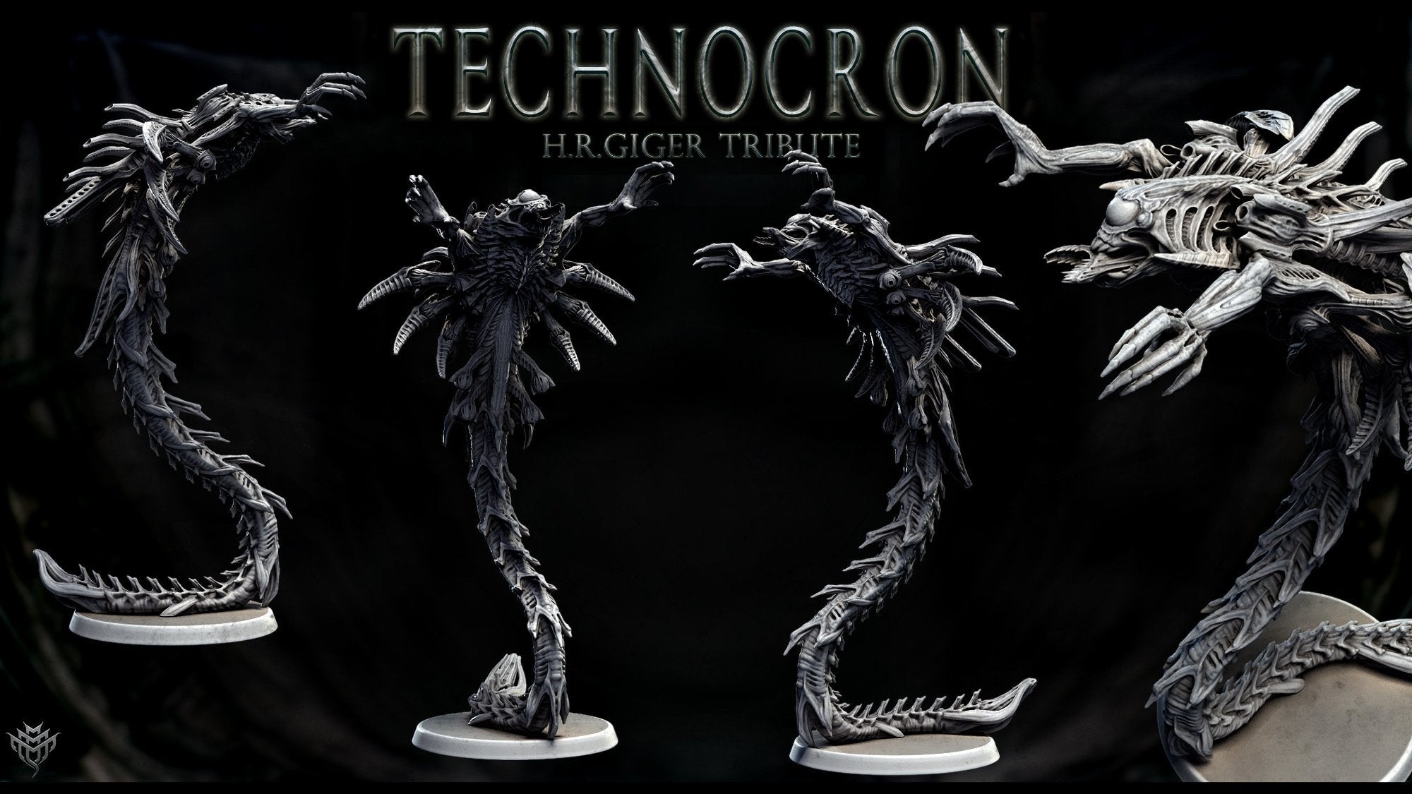Neomorph Gliders