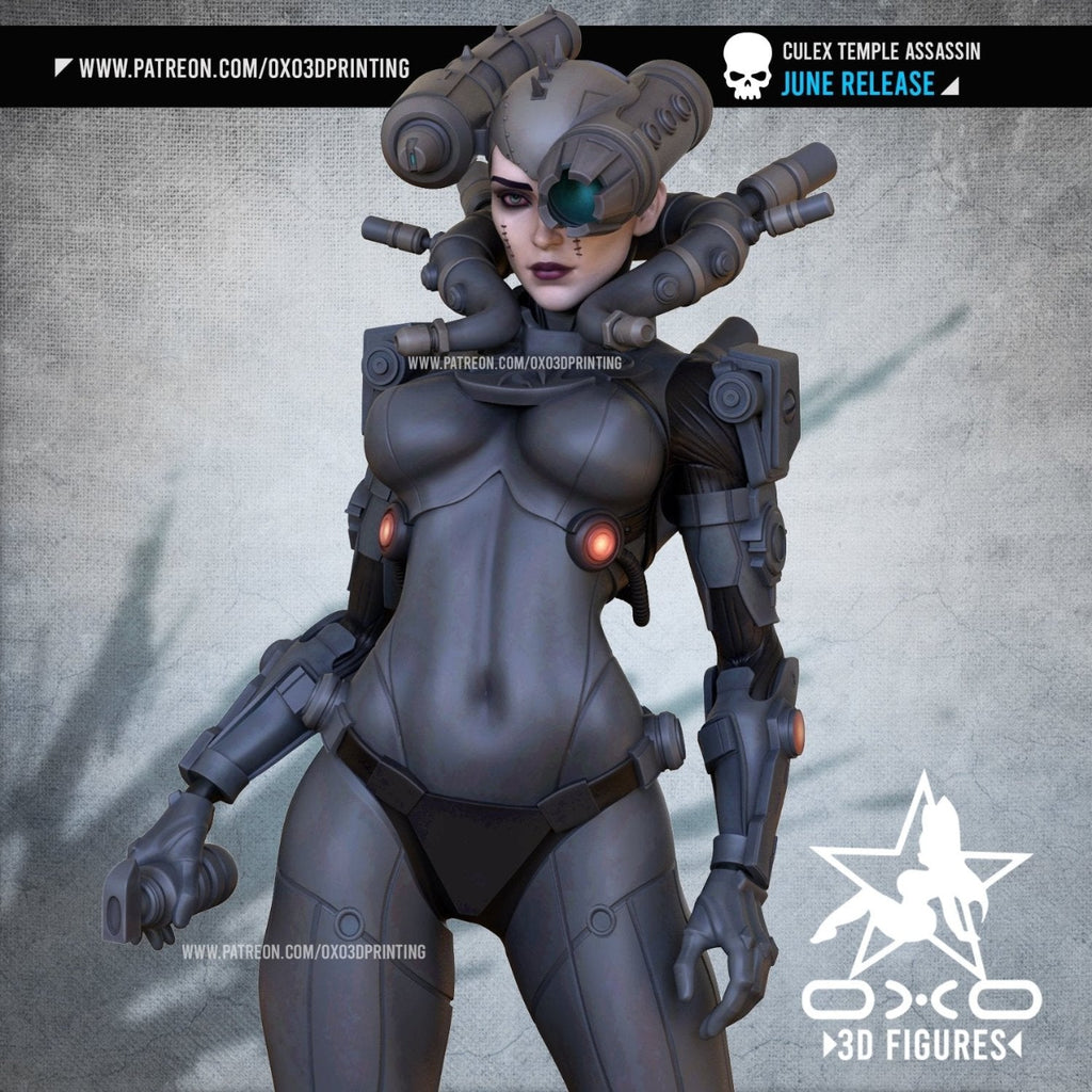 Culex - Lovemace - (SFW/NSFW 18+) 1:10 Scale