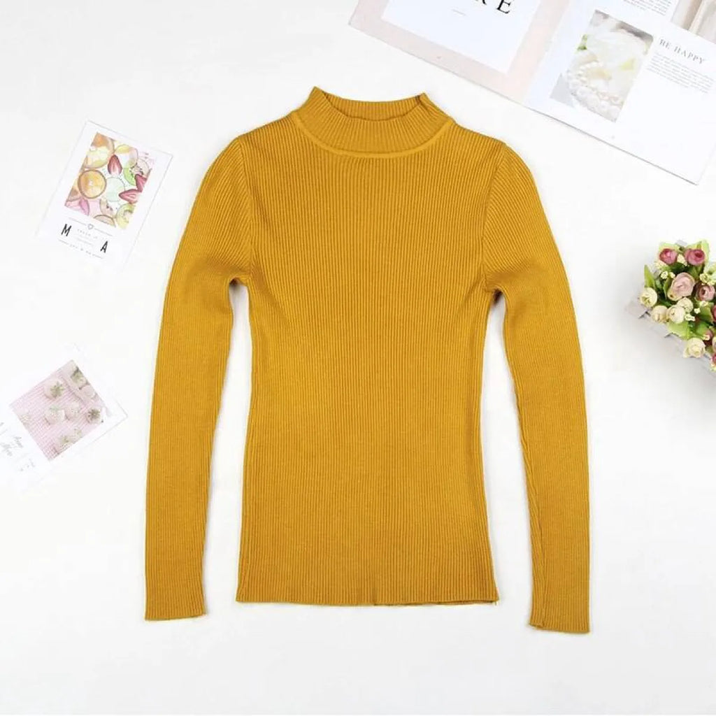 Solid Turtleneck Sweater