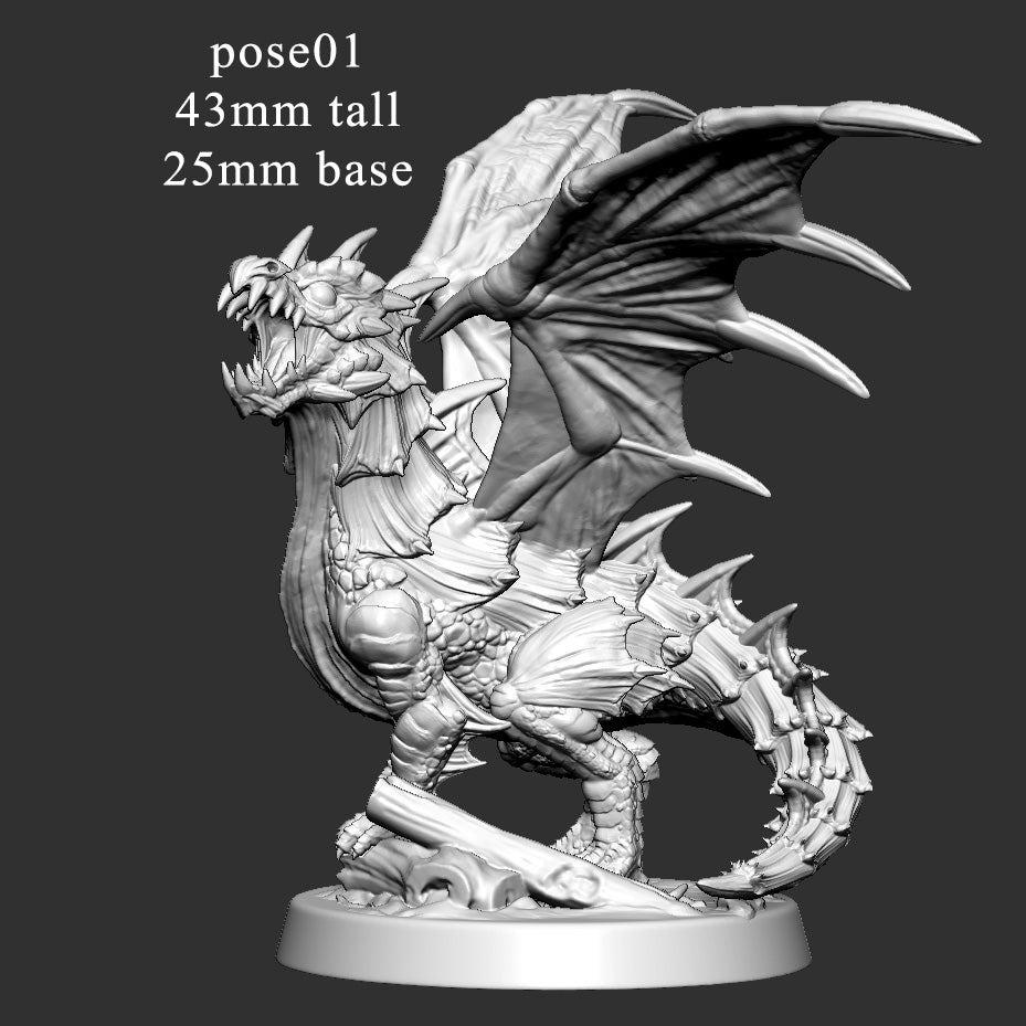 Young Green Dragon