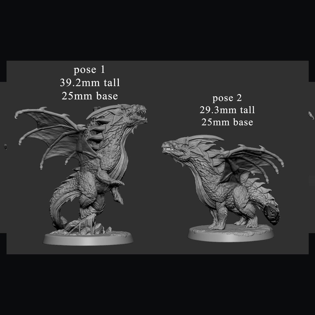 Young White Dragon