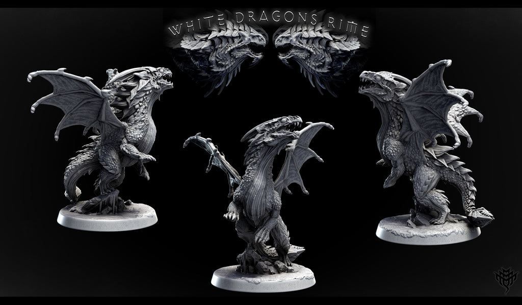 Young White Dragon