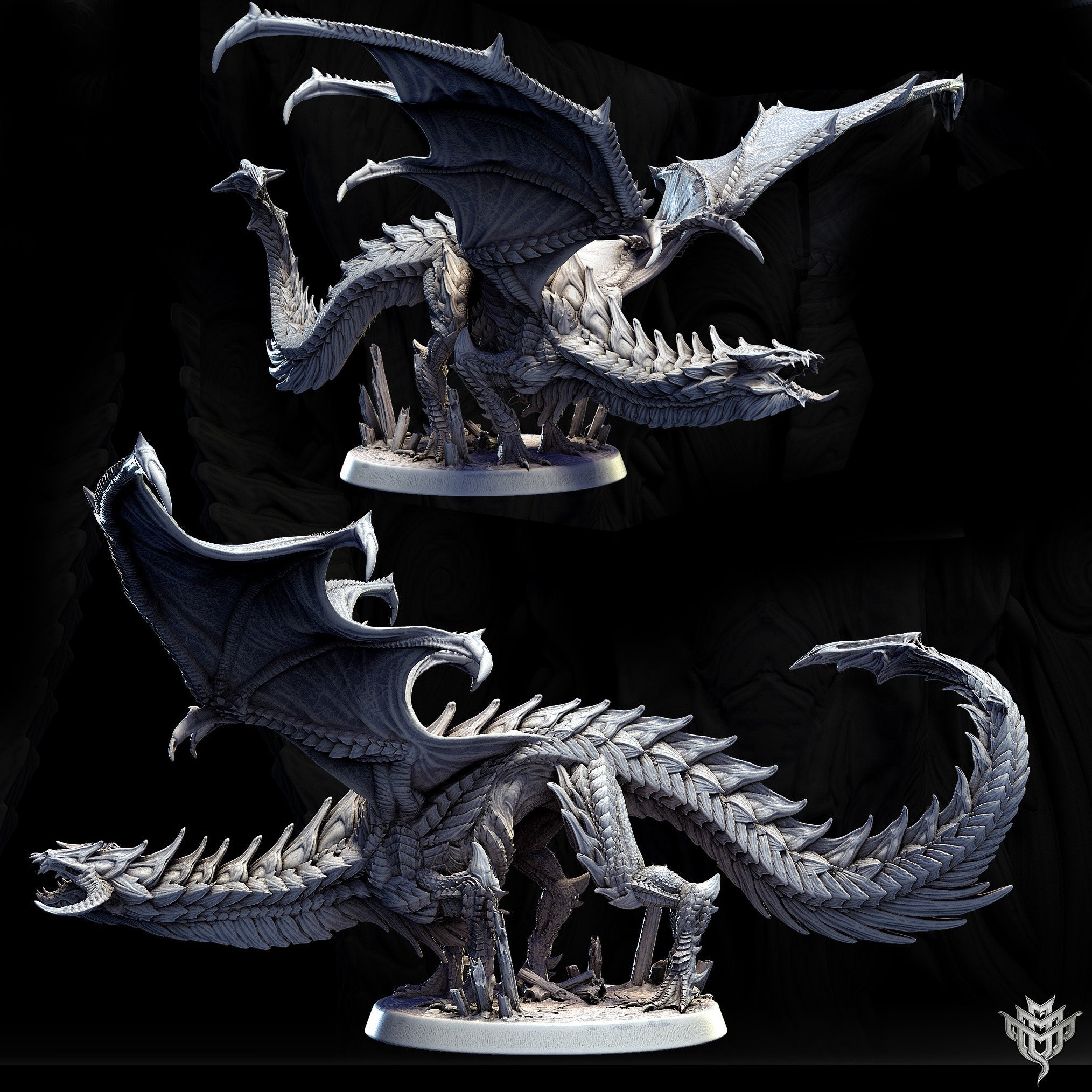 Adolescent Black Dragon